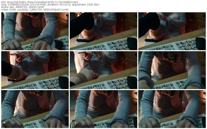 2025/11/18/stripchat-venered-09-08-00