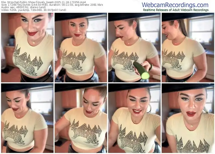 2025/11/18/stripchat-lovely_beast-17-33-56