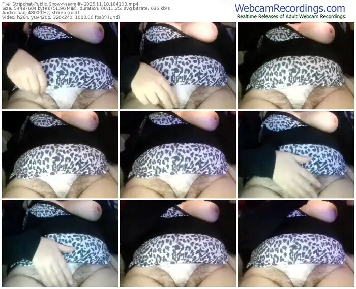 2025/11/18/stripchat-sexmilf--18-41-03