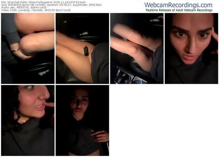 2025/11/18/stripchat-silkygemm-03-37-43