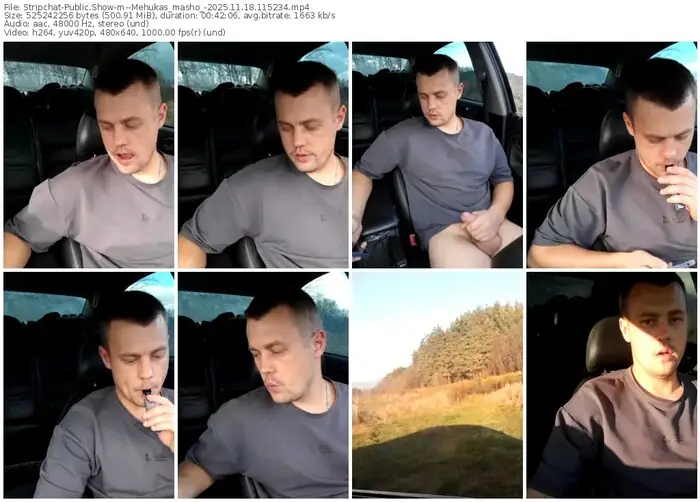 2025/11/18/stripchat--mehukas_masho_-11-52-34