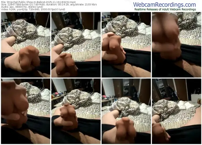 2025/11/18/stripchat-babis4-18-32-32