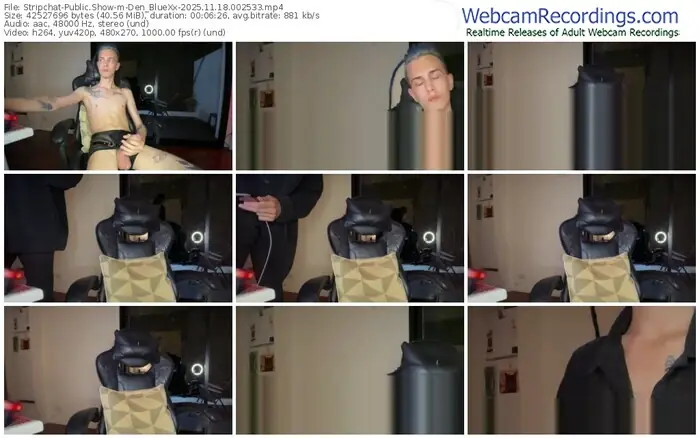 2025/11/18/stripchat-den_bluexx-00-25-33