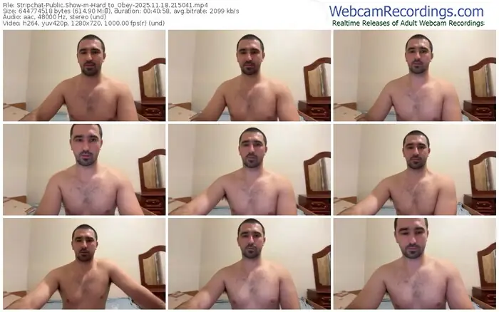 2025/11/18/stripchat-hard_to_obey-21-50-41