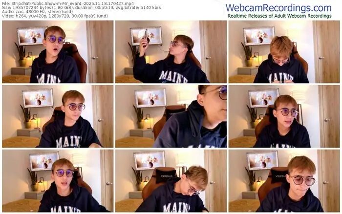 2025/11/18/stripchat-mr_evan1-17-04-27