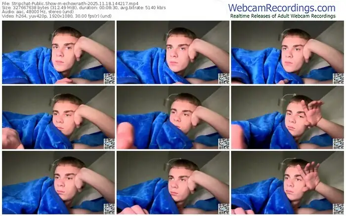 2025/11/18/stripchat-echowraith-14-42-17