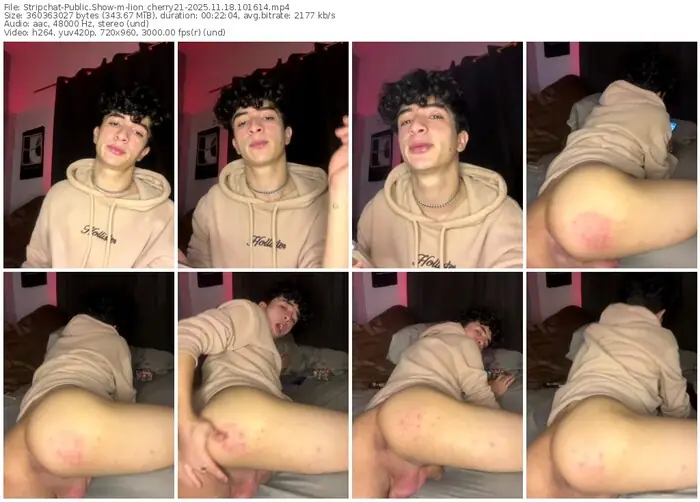 2025/11/18/stripchat-lion_cherry21-10-16-14