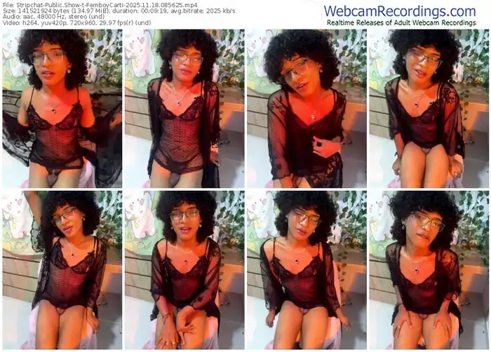 2025/11/18/stripchat-femboycarti-08-56-25