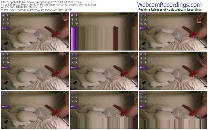 2025/11/19/stripchat-annybangs-12-58-15