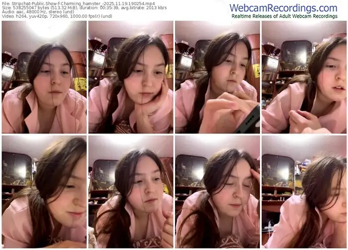 2025/11/19/stripchat-charming_hamster_-19-02-54