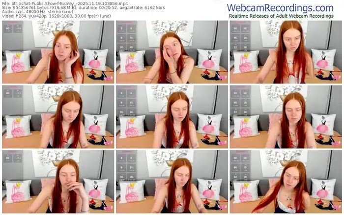2025/11/19/stripchat-evarey_-10-38-56