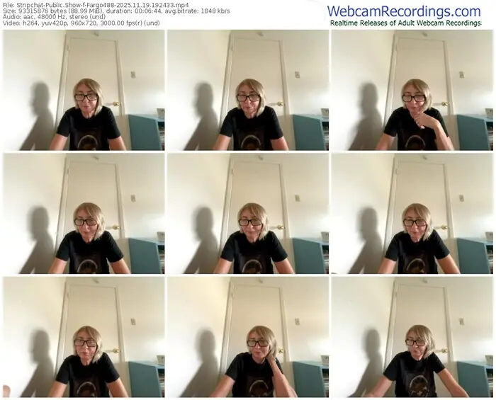 2025/11/19/stripchat-fargo488-19-24-33