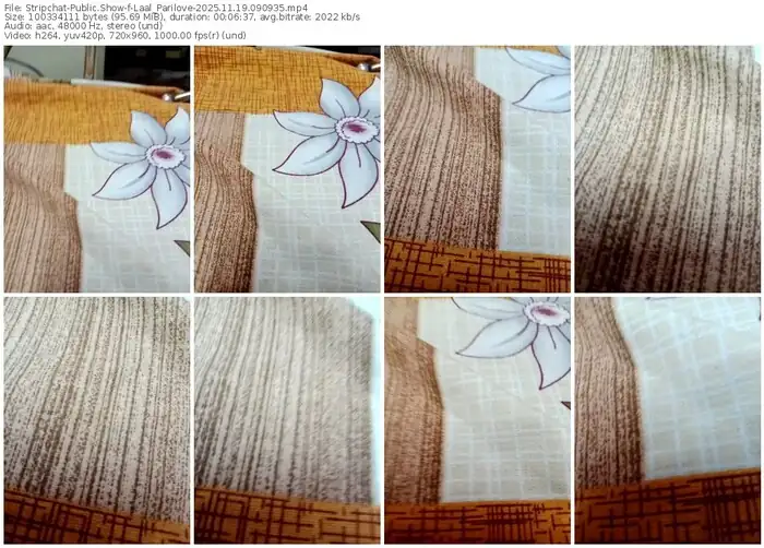 2025/11/19/stripchat-laal_parilove-09-09-35