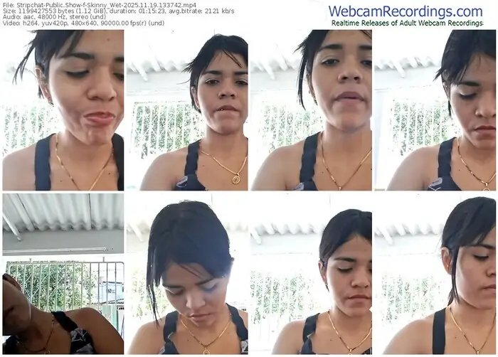 2025/11/19/stripchat-skinny_wet-13-37-42