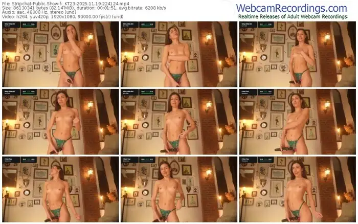 2025/11/19/stripchat-_kt23-22-41-24