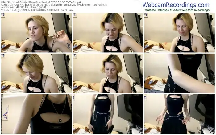 2025/11/19/stripchat-zxctoxic-17-47-40