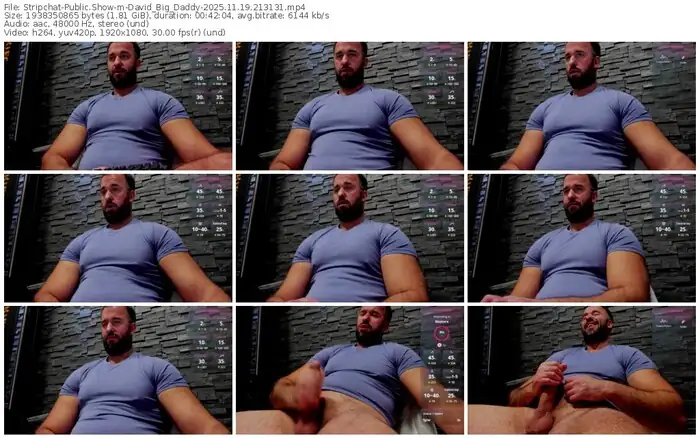 2025/11/19/stripchat-david_big_daddy-21-31-31