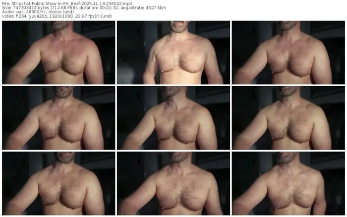 2025/11/19/stripchat-mr_beef-23-40-22