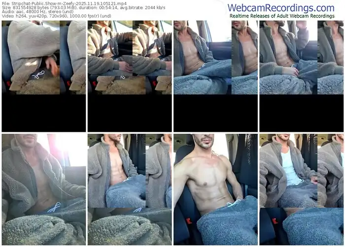 2025/11/19/stripchat-zeefy-10-51-21