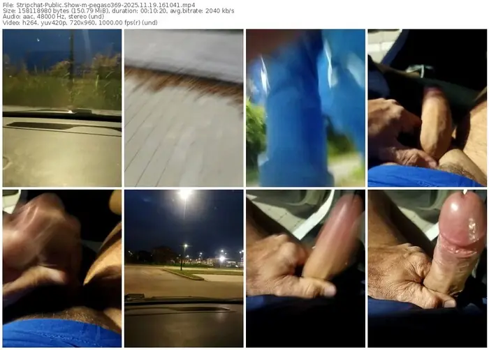 2025/11/19/stripchat-pegaso369-16-10-41