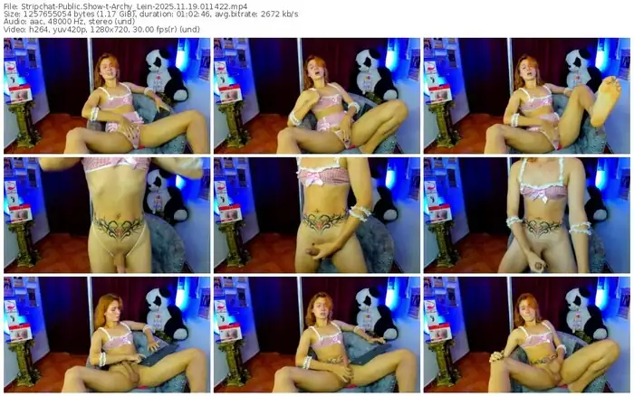 2025/11/19/stripchat-archy_lein-01-14-22