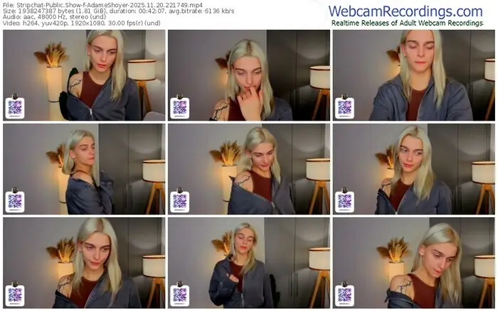 2025/11/20/stripchat-adameshoyer-22-17-49