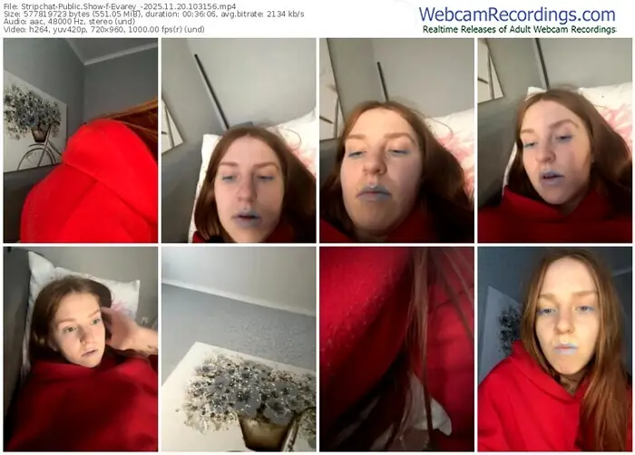 2025/11/20/stripchat-evarey_-10-31-56
