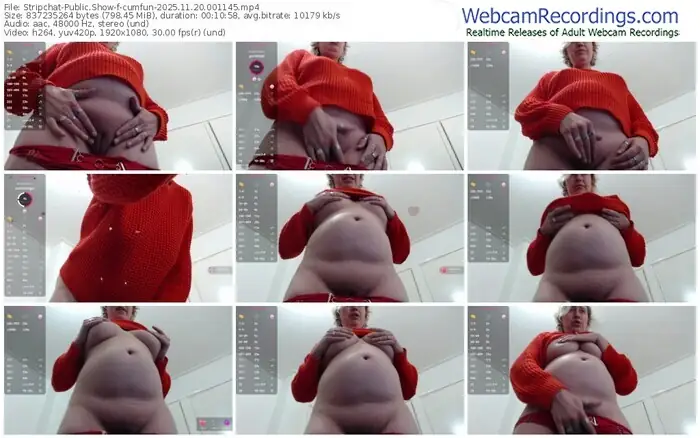 2025/11/20/stripchat-cumfun-00-11-45