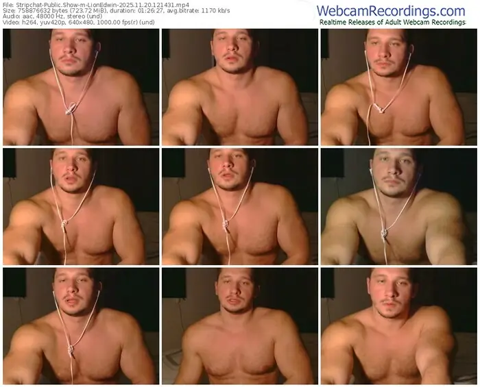 2025/11/20/stripchat-lionedwin-12-14-31