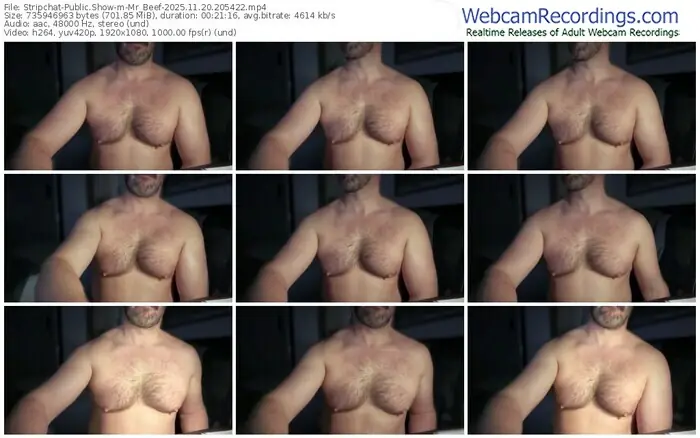 2025/11/20/stripchat-mr_beef-20-54-22