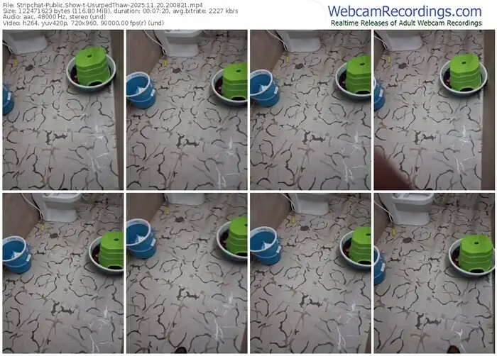 2025/11/20/stripchat-usurpedthaw-20-08-21