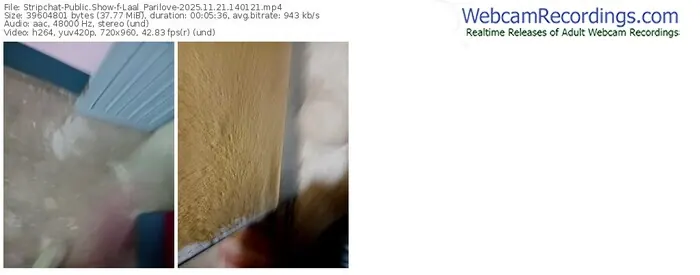 2025/11/21/stripchat-laal_parilove-14-01-21