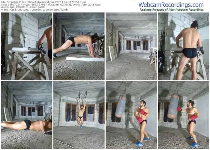 2025/11/21/stripchat-mariusvidican-17-20-52