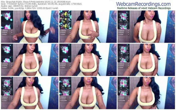 2025/11/21/stripchat-pinkceeleste-05-06-48