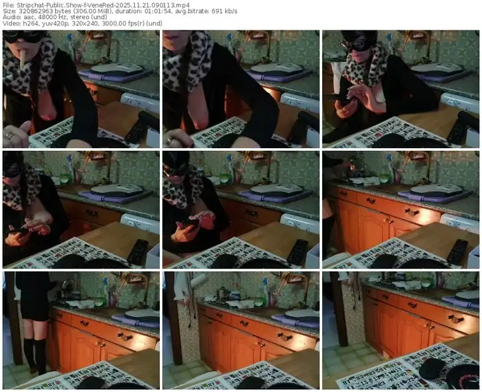 2025/11/21/stripchat-venered-09-01-13