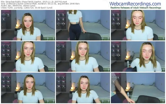 2025/11/21/stripchat-wild_sophie_-20-07-42