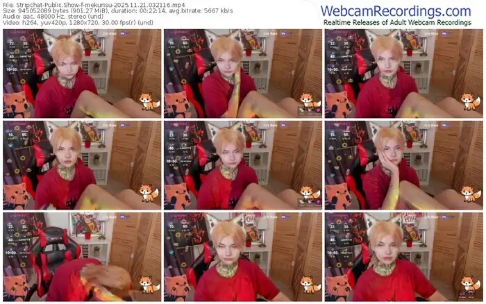 2025/11/21/stripchat-mekurisu-03-21-16
