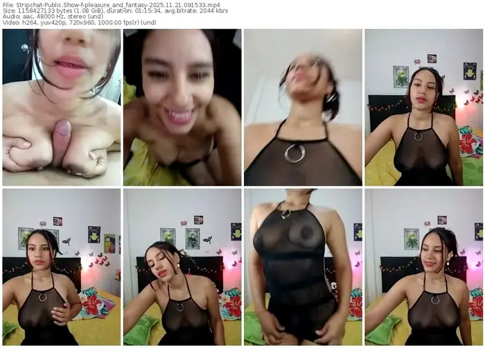 2025/11/21/stripchat-pleasure_and_fantasy-09-15-33