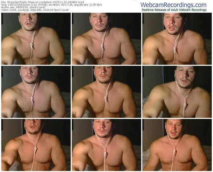 2025/11/21/stripchat-lionedwin-09-48-01