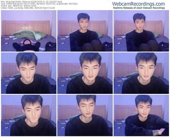 2025/11/21/stripchat-n228-19-22-37