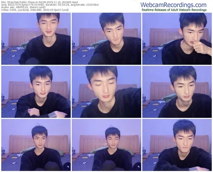 2025/11/21/stripchat-n228-20-29-45