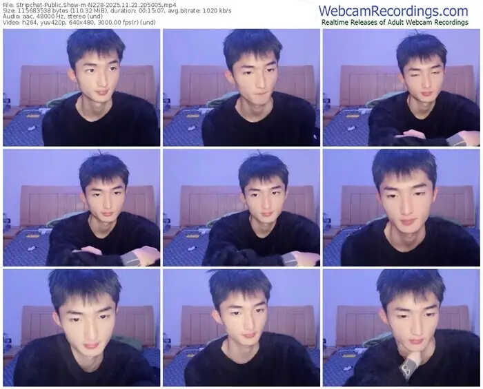 2025/11/21/stripchat-n228-20-50-05