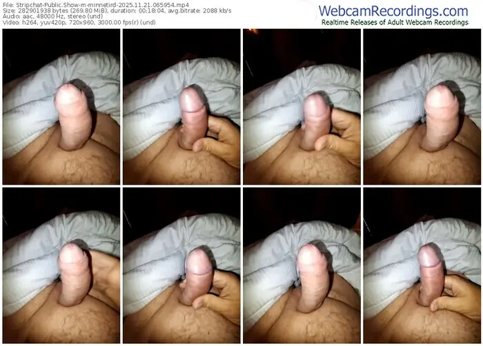 2025/11/21/stripchat-minnetird-06-59-54