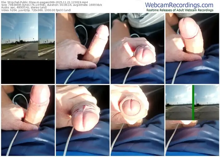 2025/11/21/stripchat-pegaso369-12-30-19