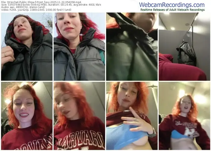 2025/11/22/stripchat-frost_foxy-05-40-58