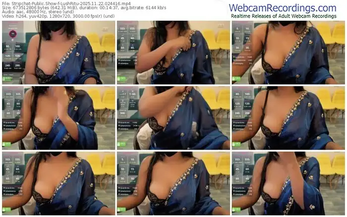 2025/11/22/stripchat-lushritu-02-44-16