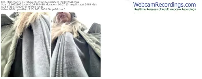 2025/11/22/stripchat-merlindave-06-26-41