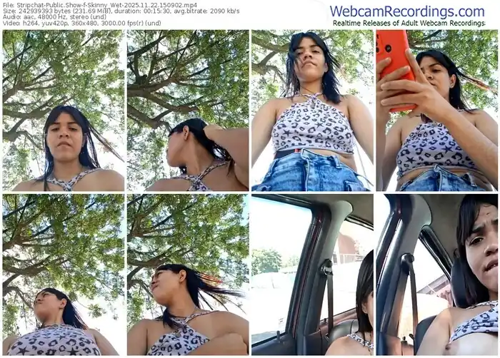 2025/11/22/stripchat-skinny_wet-15-09-02