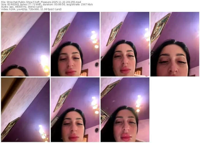2025/11/22/stripchat-soft_pleasure-20-12-55