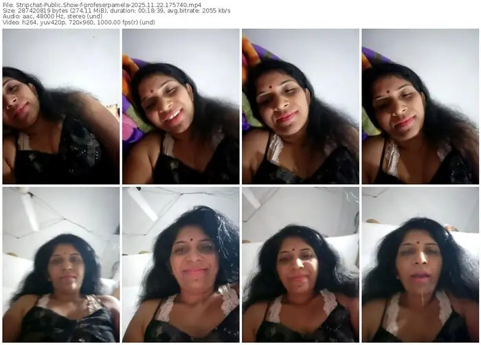 2025/11/22/stripchat-profeserpamela-17-57-40